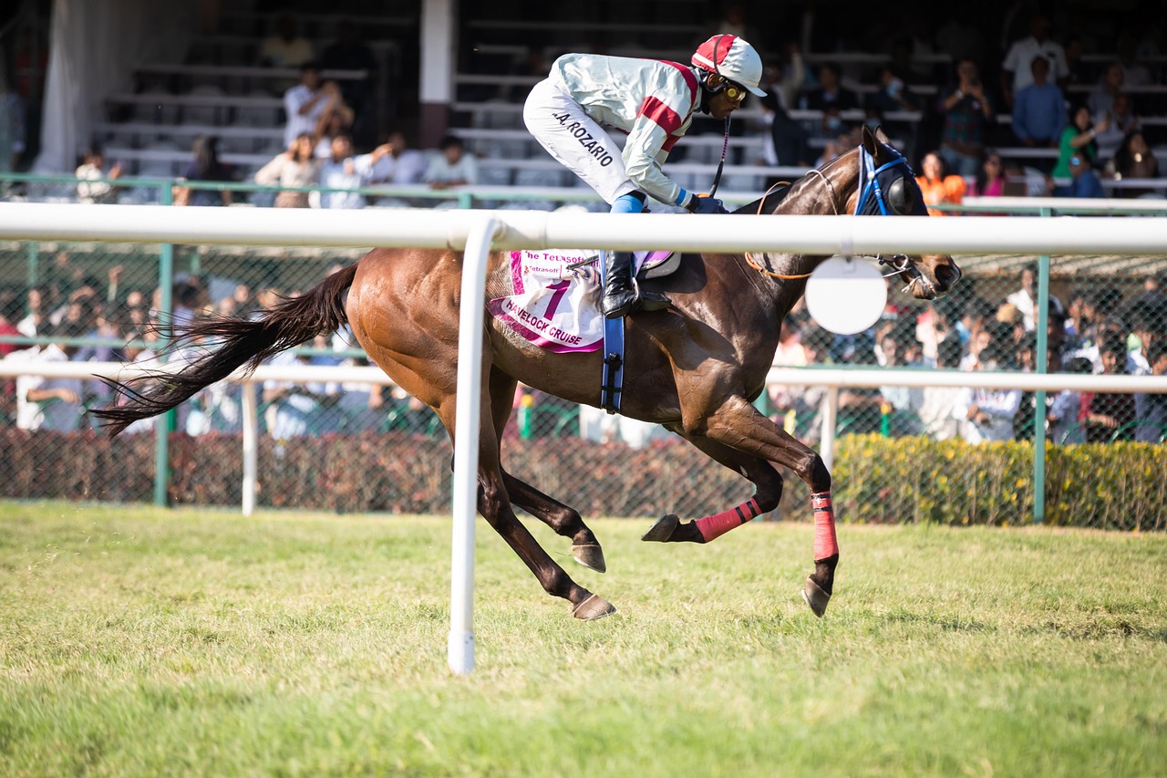 Is Legal Best Odds for Horse Racing Legal in India? Complete 2027 Guide